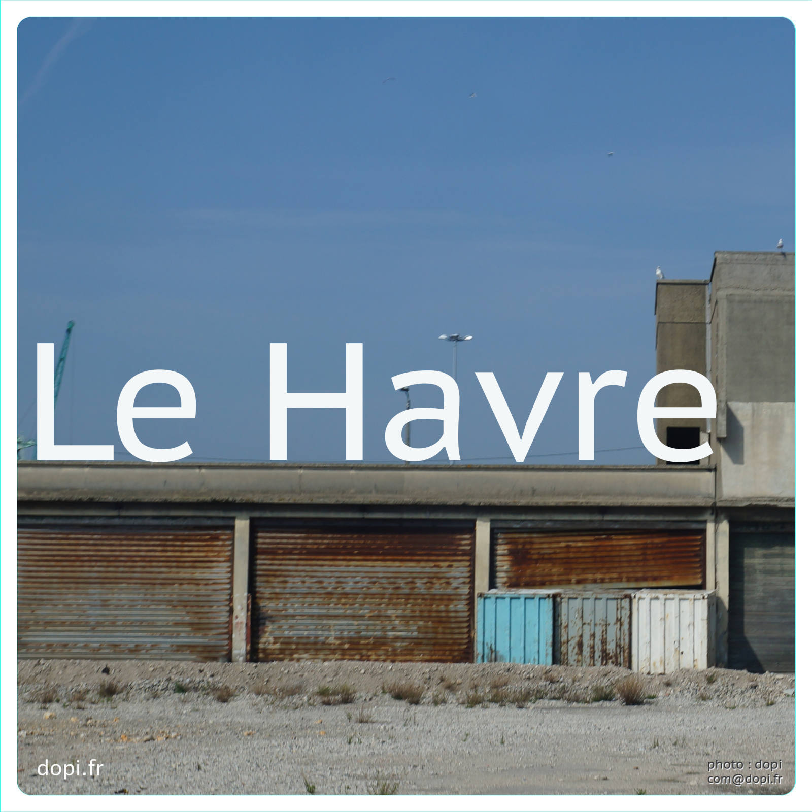 00038 S273,medium large.2x.1483111888